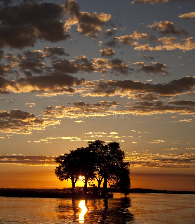 An African sunset on the Chobe River on the border of Botswana and Namibia. An African sunset on the Chobe River on the border of Botswana and Namibia