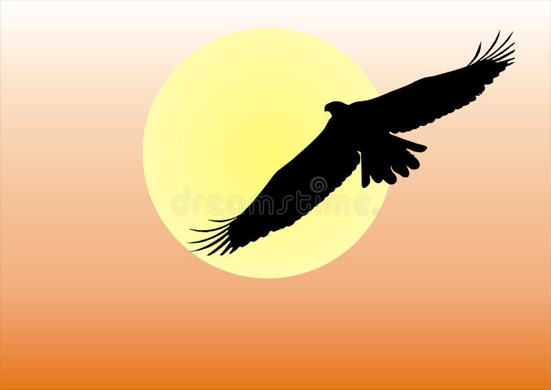 Silhouette of an eagle against the setting sun. Silhouette of an eagle against the setting sun