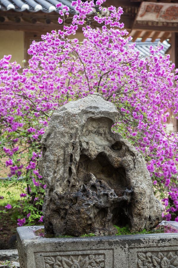 Blooming bush behind a bizarre rock at the Changdeokgung Palace in Seoul, South Korea. Blooming bush behind a bizarre rock at the Changdeokgung Palace in Seoul, South Korea.