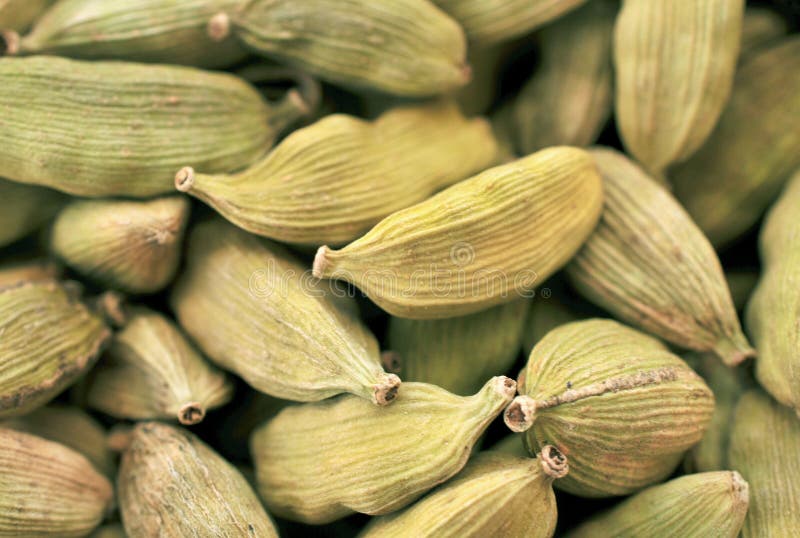 Зеленая ароматность кардамона осеменяет предпосылку