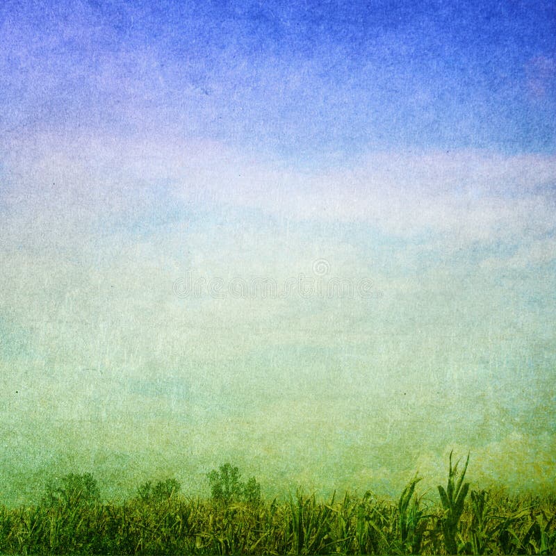 Green field and blue sky. Faded central area for copy space. Green field and blue sky. Faded central area for copy space.