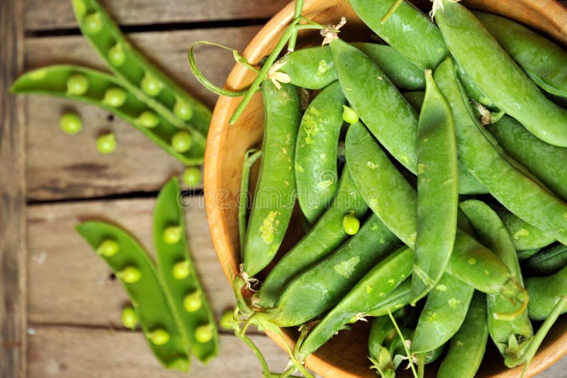 Snap peas, also known as sugar snap peas, are a cultivar group of edible-podded peas that differ from snow peas in that their pods are round as opposed to flat. Snap peas, like all other peas, are pod fruits. An edible-podded pea is similar to a garden, or English, pea, but the pod is less fibrous, and edible when young. The snap pea is a cool season legume or fruit. healthy , organic food. Snap peas, also known as sugar snap peas, are a cultivar group of edible-podded peas that differ from snow peas in that their pods are round as opposed to flat. Snap peas, like all other peas, are pod fruits. An edible-podded pea is similar to a garden, or English, pea, but the pod is less fibrous, and edible when young. The snap pea is a cool season legume or fruit. healthy , organic food