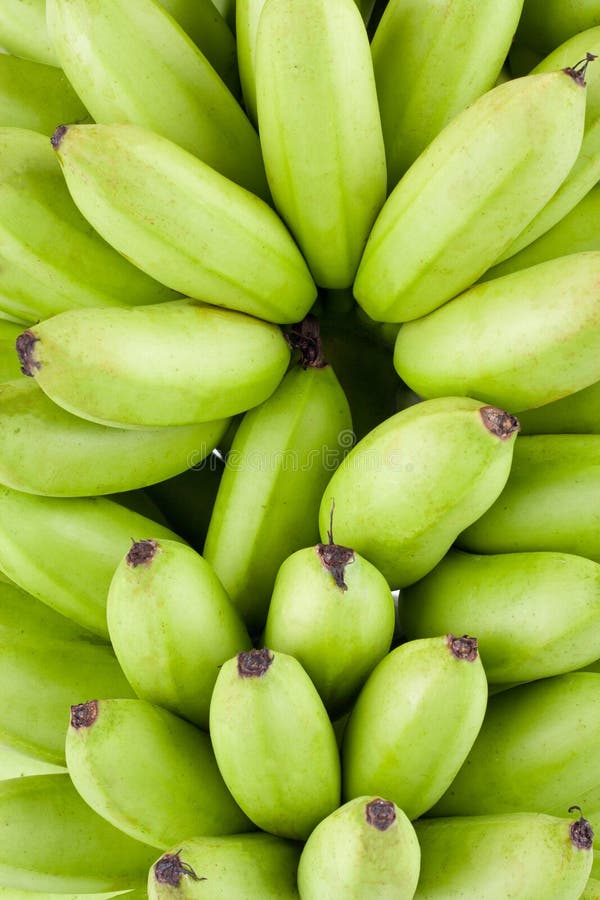 Зеленые сырцовые золотые бананы на изолированной еде плодоовощ банана Mas Pisang белой предпосылки здоровой стоковые изображения rf Зеленые сырцовые золотые бананы на изолированной еде плодоовощ банана Mas Pisang белой предпосылки здоровой стоковые изображения rf