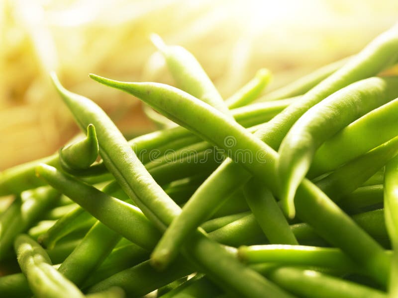 Heap of green beans brightly lit with sunlight. Heap of green beans brightly lit with sunlight