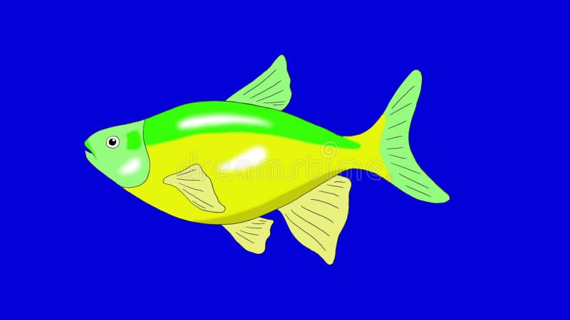 Зелен-желтый ключ Chroma рыб аквариума закрепил петлей