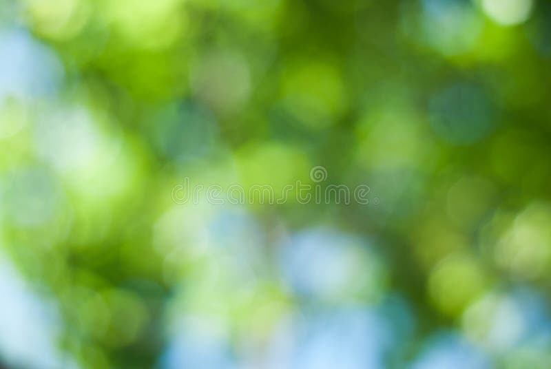Зеленая абстрактная Defocused естественная предпосылка из парка лета Bokeh завтрак-обеда неба TreesBlue зеленого цвета фокуса стоковые фотографии rf Зеленая абстрактная Defocused естественная предпосылка из парка лета Bokeh завтрак-обеда неба TreesBlue зеленого цвета фокуса стоковые фотографии rf