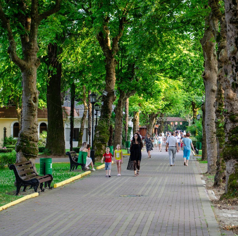 зеленая аллея в парке ривьера. тропа. люди на прогулке стоковое фото