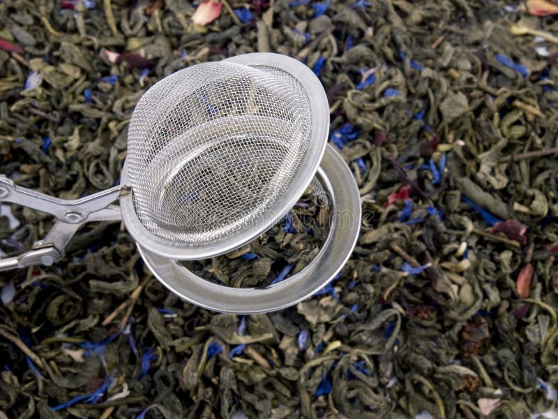 зеленое infuser выходит чай стоковые изображения зеленое infuser выходит чай стоковые изображения