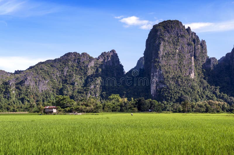 Зеленые горы поля и известняка рисовых полей в Vang Vieng, популярном городке курорта в Lao PDR стоковые фотографии rf Зеленые горы поля и известняка рисовых полей в Vang Vieng, популярном городке курорта в Lao PDR стоковые фотографии rf
