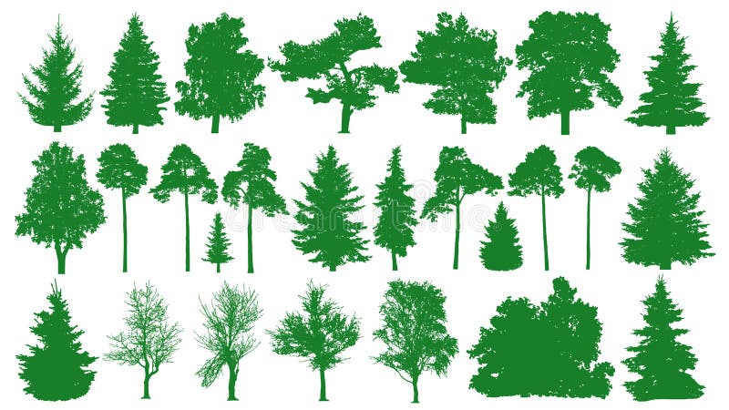 Зеленые установленные деревья Белая предпосылка Силуэт coniferous ели леса, ель, сосна, береза, дуб, куст, ветвь иллюстрация штока Зеленые установленные деревья Белая предпосылка Силуэт coniferous ели леса, ель, сосна, береза, дуб, куст, ветвь иллюстрация штока