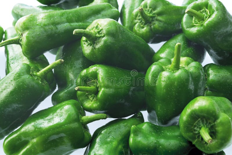 зеленый цвет capsicum стоковые фото зеленый цвет capsicum стоковые фото