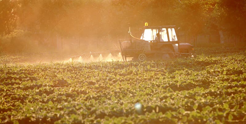 Spraying of soy field in early summer. Spraying of soy field in early summer