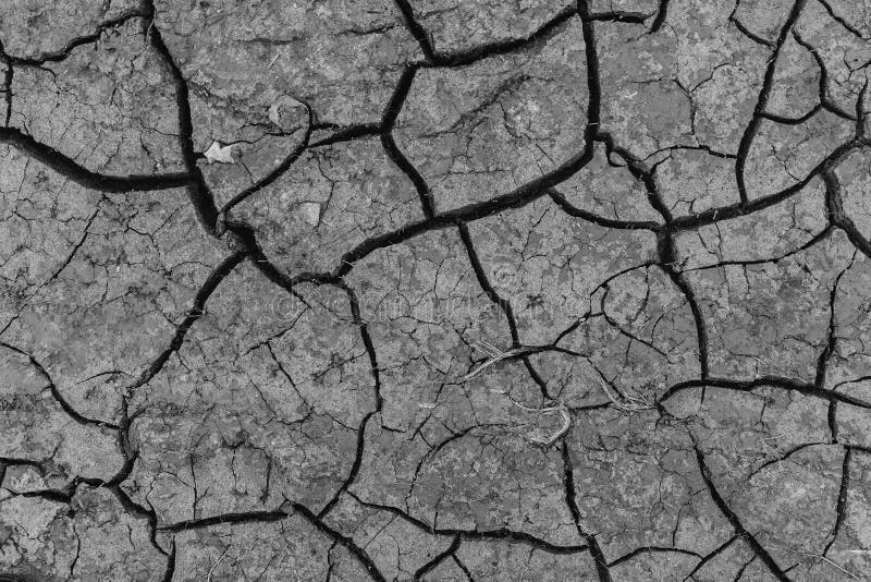 Black and white photograph of the earth with cracks. Black and white photograph of the earth with cracks