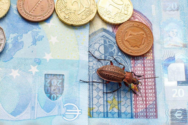 Земной жук на счете счета 20 евро рядом с небольшой монеткой Боснии и Герцеговины стоковые фото Земной жук на счете счета 20 евро рядом с небольшой монеткой Боснии и Герцеговины стоковые фото