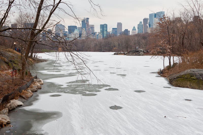 зима Central Park стоковые фотографии rf зима Central Park стоковые фотографии rf