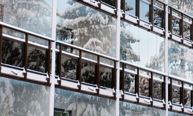 Winter foreside of the building with reflections of the fir trees in windows. Winter foreside of the building with reflections of the fir trees in windows