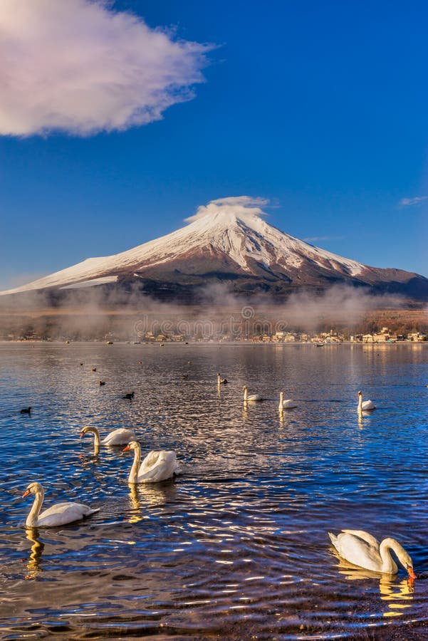 зима взгляда токио держателя 100km fuji япония западная стоковое изображение rf зима взгляда токио держателя 100km fuji япония западная стоковое изображение rf