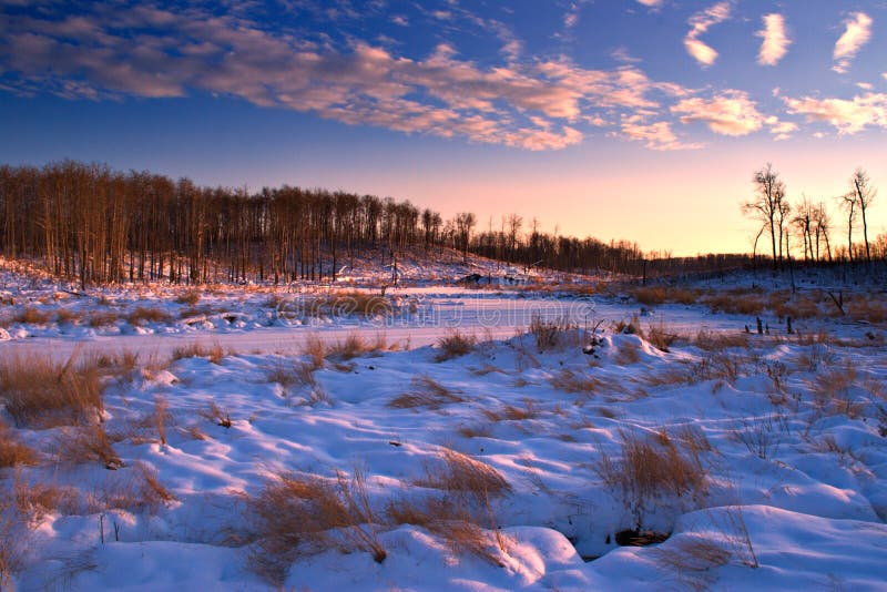 Dusk settles on a winter landscape in Elk Island National Park, Alberta, Canada. Dusk settles on a winter landscape in Elk Island National Park, Alberta, Canada.