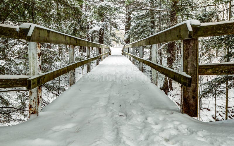 Snow covered wooden bridge over a forested ravine. Snow covered wooden bridge over a forested ravine.