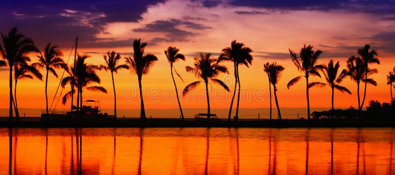 Travel banner. Beach paradise sunset with tropical palm trees. Summer travel holidays vacation getaway colorful concept photo from sea ocean water at Big Island, Hawaii, USA. Travel banner. Beach paradise sunset with tropical palm trees. Summer travel holidays vacation getaway colorful concept photo from sea ocean water at Big Island, Hawaii, USA.