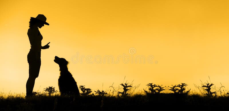 Website banner of pet dog training silhouette. Website banner of pet dog training silhouette