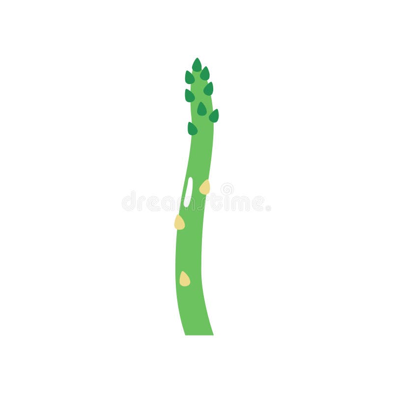 значок asparagus на белом фоне. иллюстрация вектора