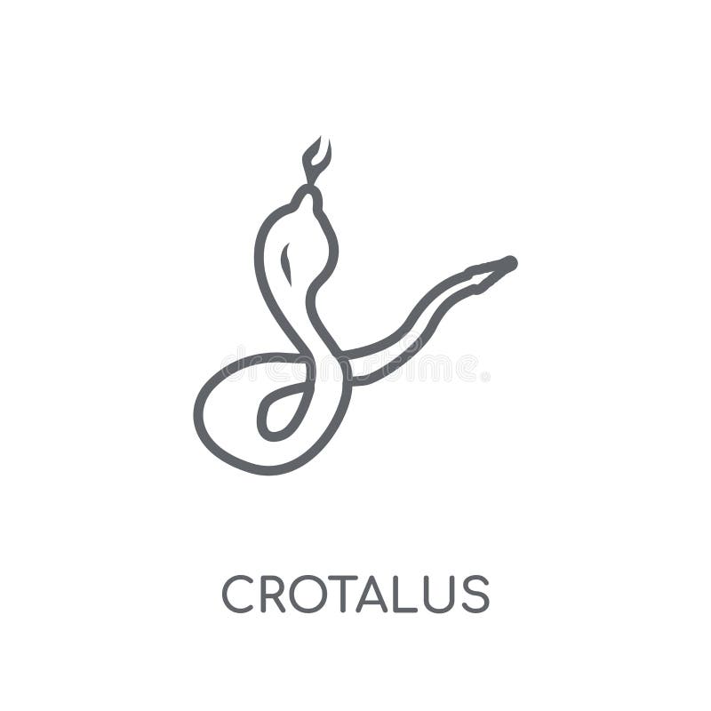 Значок Crotalus линейный Современная концепция логотипа Crotalus плана на wh иллюстрация штока Значок Crotalus линейный Современная концепция логотипа Crotalus плана на wh иллюстрация штока