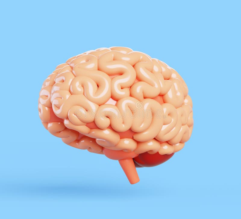 Значок 3d-рендеринга человеческого мозга. Реалистичный анатомический орган центральной нервной системы. Изолированный спинной мозг бесплатная иллюстрация