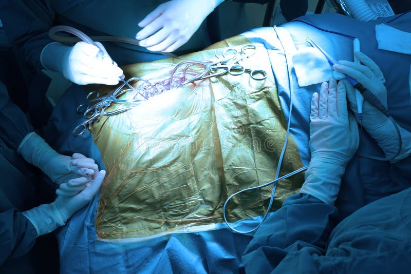 Зооветеринарный доктор в комнате деятельности для laparoscopic хирургического стоковое фото Зооветеринарный доктор в комнате деятельности для laparoscopic хирургического стоковое фото