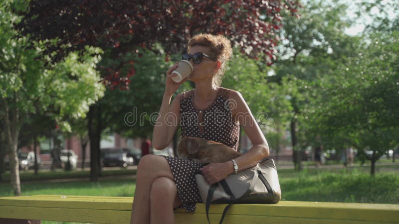 зрелая женщина в платье и солнцезащитные очки пить кофе сидеть на скамейке в парке с ее маленькой собакой в сумке дачной породы в сток-видео