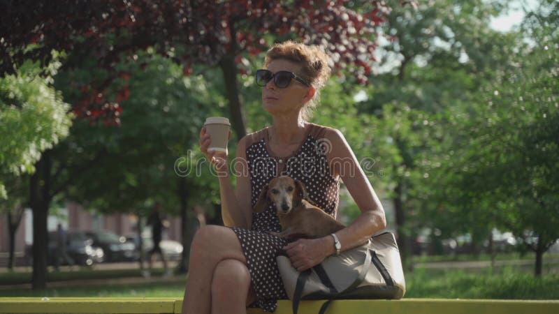 зрелая женщина в платье и солнцезащитные очки пить кофе сидеть на скамейке в парке с ее маленькой собакой в сумке дачной породы в акции видеоматериалы