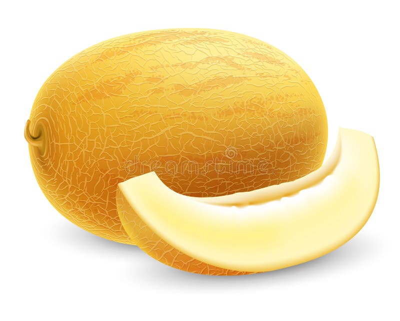 Зрелая свежая дыня honeydew бесплатная иллюстрация