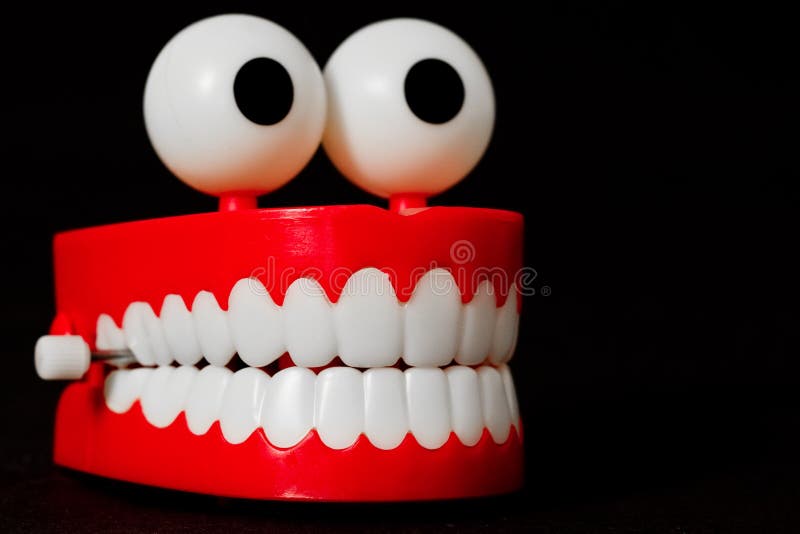Chattering teeth toy taken from a three quarter frontal angle with short depth of field, looking right. Chattering teeth toy taken from a three quarter frontal angle with short depth of field, looking right