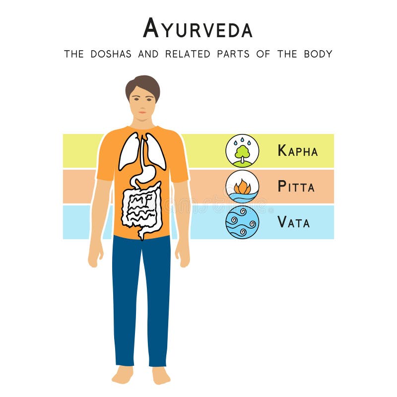 Иллюстрация вектора Ayurveda Doshas и родственные части тела иллюстрация вектора Иллюстрация вектора Ayurveda Doshas и родственные части тела иллюстрация вектора