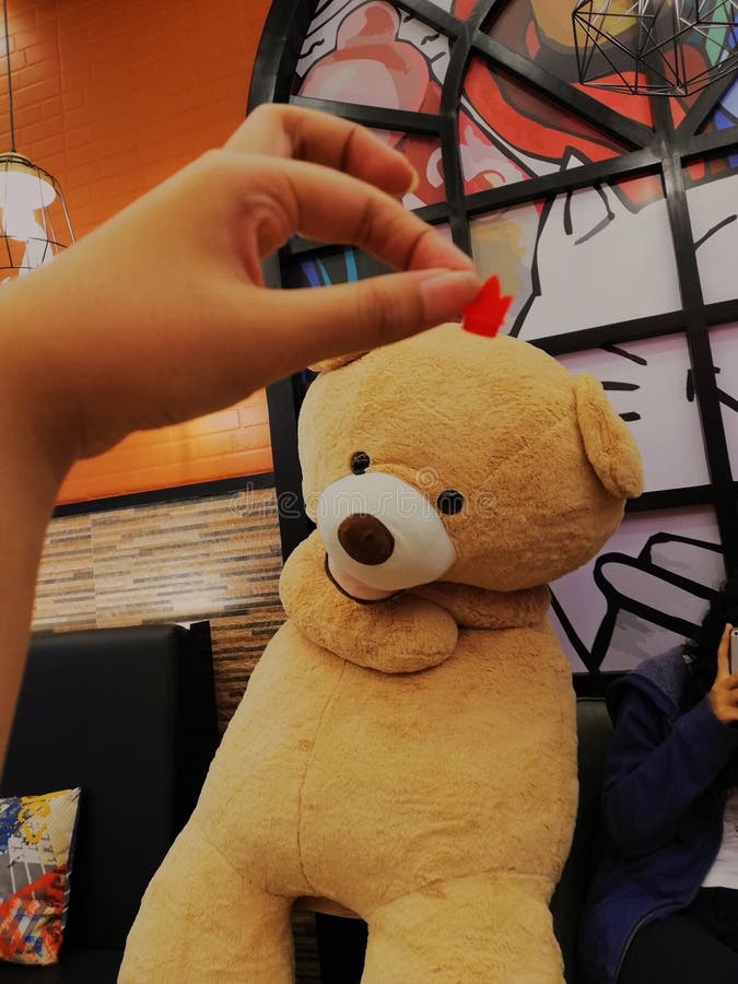 игрушечный кроны медведя прижимается любимец кота привлекательного милого cutie прелестный стоковые изображения игрушечный кроны медведя прижимается любимец кота привлекательного милого cutie прелестный стоковые изображения