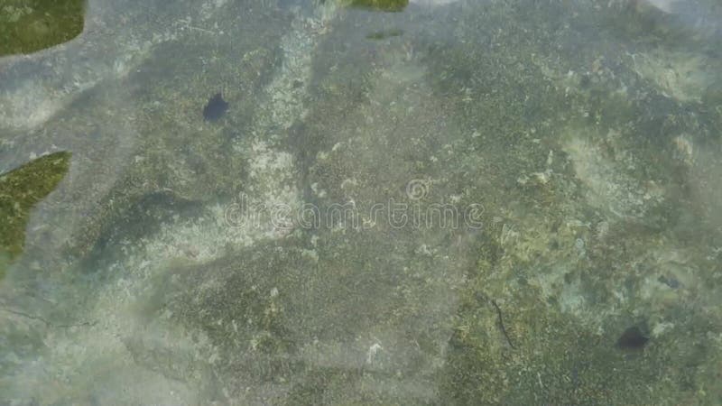 Известный туристский пляж острова погрузки ориентир ориентира в провинции Krabi, Таиланде Предпосылка текстуры искры воды кристал сток-видео Известный туристский пляж острова погрузки ориентир ориентира в провинции Krabi, Таиланде Предпосылка текстуры искры воды кристал сток-видео