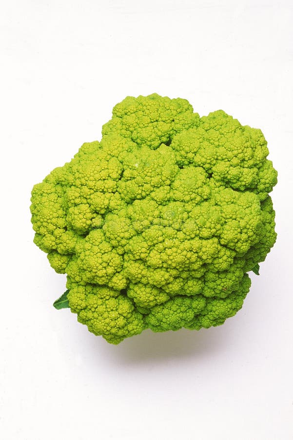 извлекли листья зеленого цвета broccoflower, котор стоковое фото rf извлекли листья зеленого цвета broccoflower, котор стоковое фото rf
