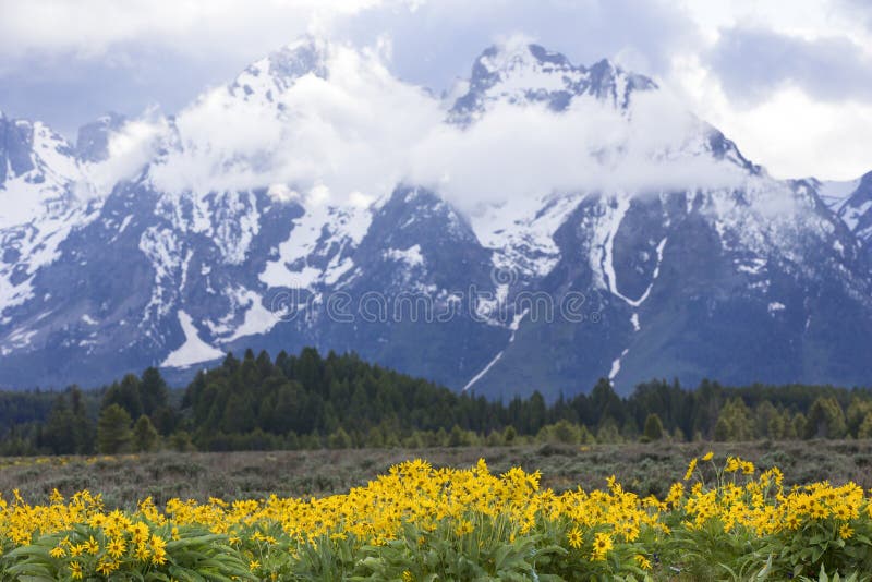 Изображение ландшафта грандиозной горной цепи Tetons стоковое изображение