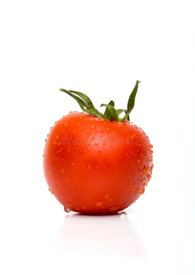 изолированный томат
