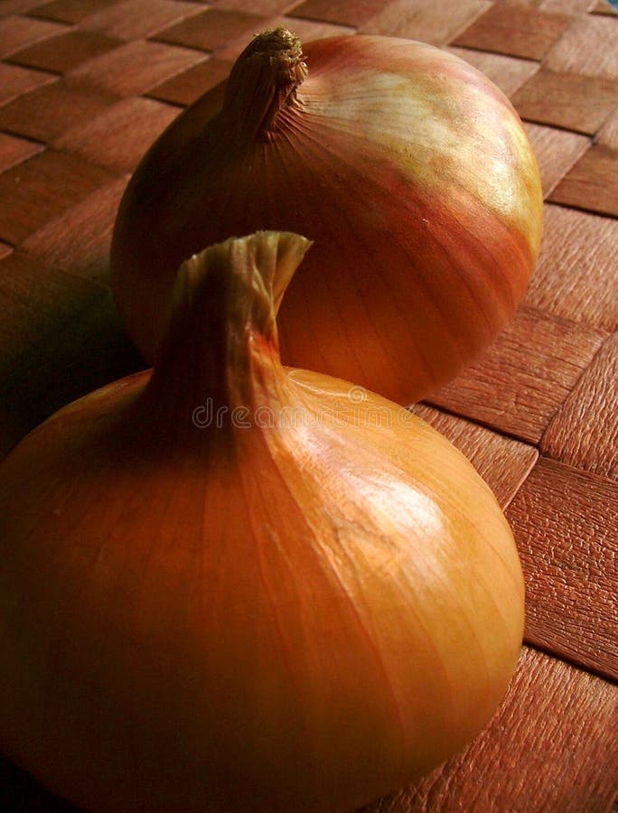 Onion. Onion