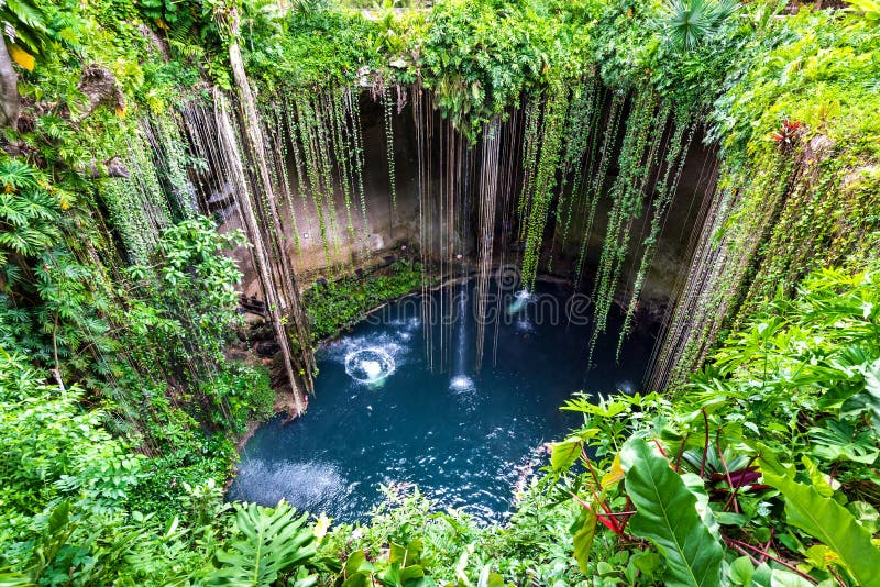 Ik-Kil Cenote, Chichen Itza, Mexico. Lovely cenote with transparent waters and hanging roots, Central America. Ik-Kil Cenote, Chichen Itza, Mexico. Lovely cenote with transparent waters and hanging roots, Central America