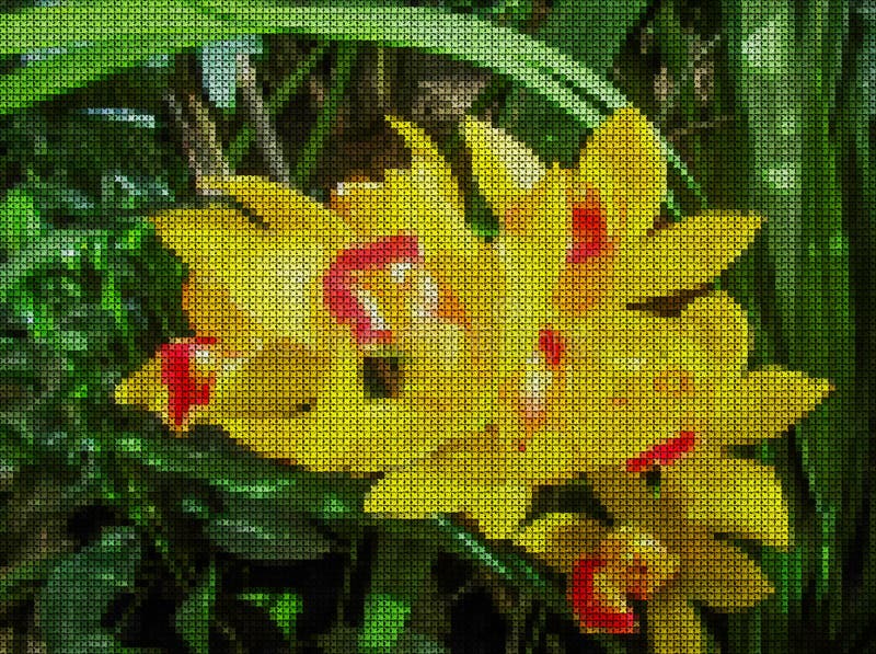 иллюстрация Вышивка крестиком цветок цветет phalaenopsis орхидей орхидеи бесплатная иллюстрация иллюстрация Вышивка крестиком цветок цветет phalaenopsis орхидей орхидеи бесплатная иллюстрация