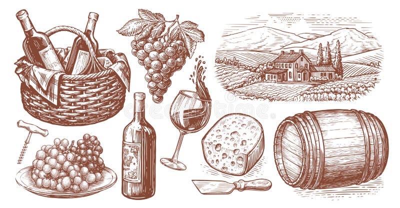 Viticulture concept vintage illustration. Wine set. Collection of hand drawn sketches. Viticulture concept vintage illustration. Wine set. Collection of hand drawn sketches