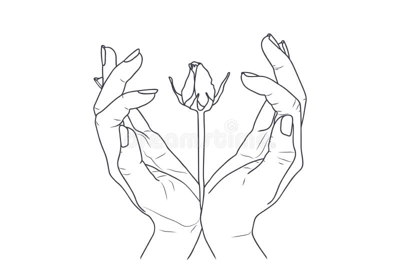 Flower, nature, plant, rose, hand, finger, isolated, palm, fingers, white, sign, human, arm, gesture, five, woman, thumb, open, symbol, people, concept, help, wrist, two, person, number, up, counting, illustration, icon, design, care, outline, art, line, silhouette, background, graphic, drawing, black, sketch. Flower, nature, plant, rose, hand, finger, isolated, palm, fingers, white, sign, human, arm, gesture, five, woman, thumb, open, symbol, people, concept, help, wrist, two, person, number, up, counting, illustration, icon, design, care, outline, art, line, silhouette, background, graphic, drawing, black, sketch