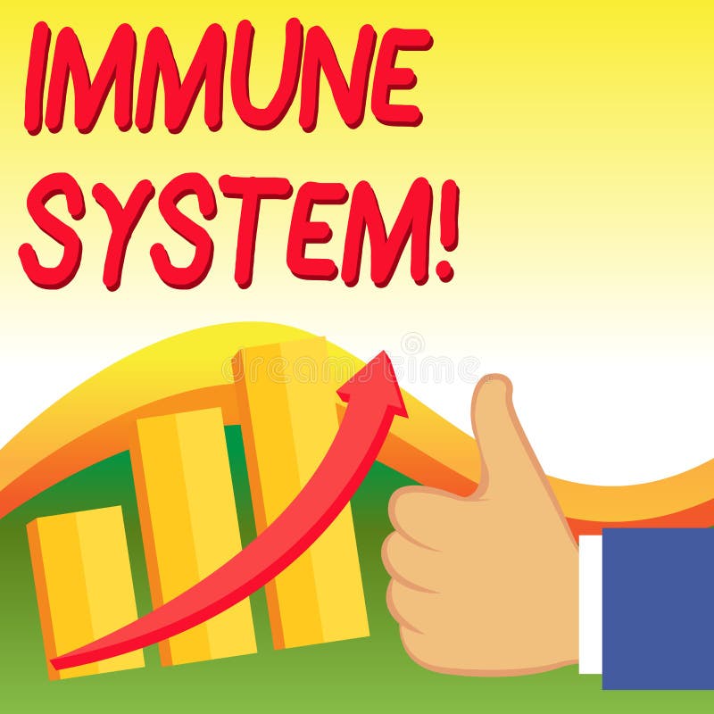 Text sign showing Immune System. Business photo showcasing host defense system comprising analysisy biological structures Thumb Up Good Performance Success Escalating Bar Graph Ascending Arrow. Text sign showing Immune System. Business photo showcasing host defense system comprising analysisy biological structures Thumb Up Good Performance Success Escalating Bar Graph Ascending Arrow