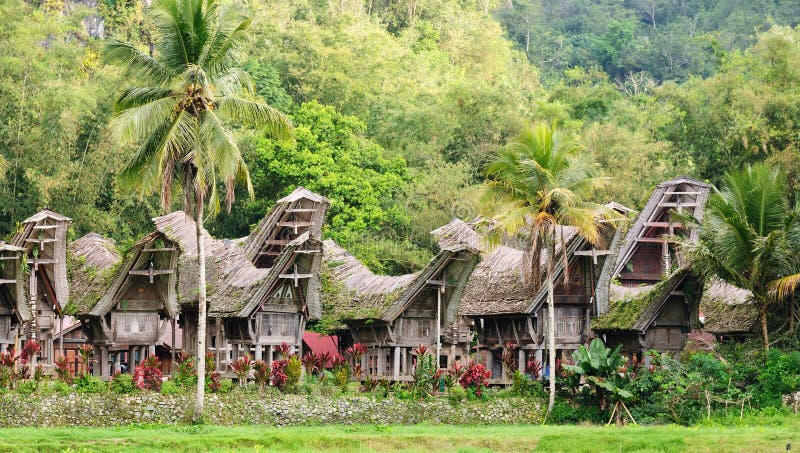 Индонезия, Сулавеси, Tana Toraja, традиционная деревня стоковое изображение Индонезия, Сулавеси, Tana Toraja, традиционная деревня стоковое изображение