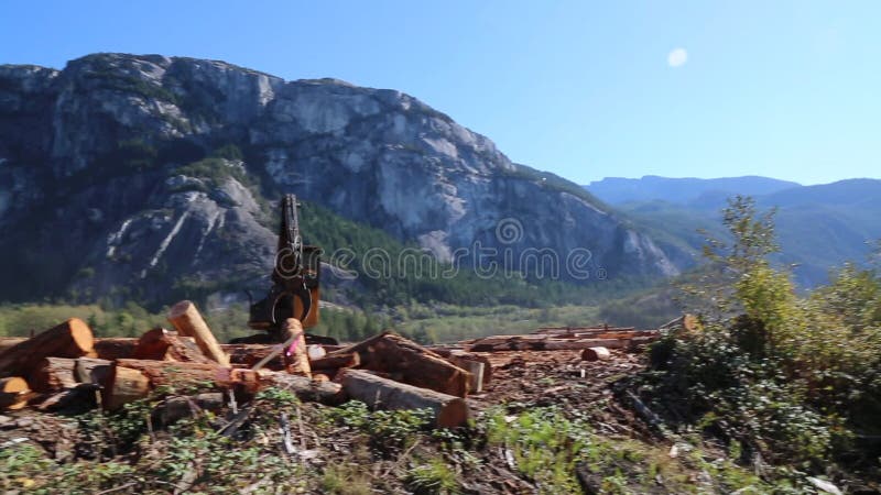 Индустрия леса машинного оборудования пиломатериала moving деревянная