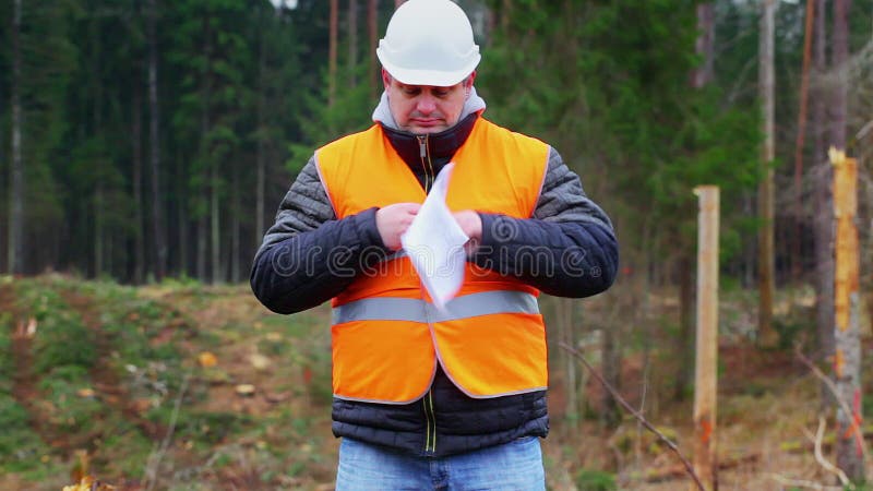 Инженер леса горя чувствительные документы в лесе