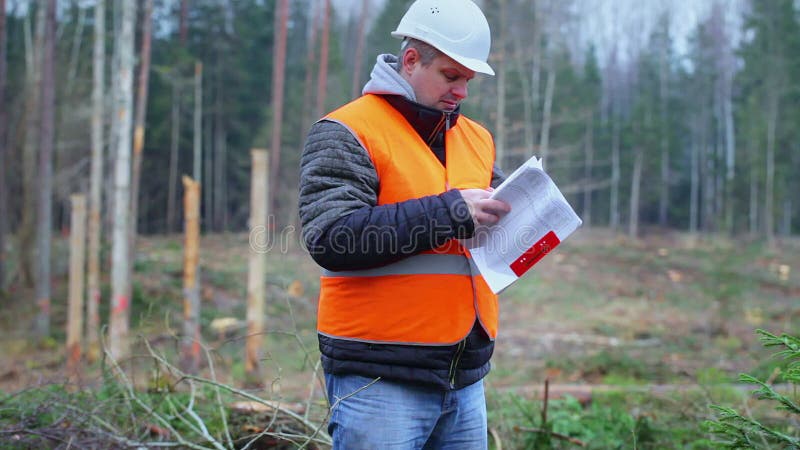 Инженер леса проверяя документы в лесе