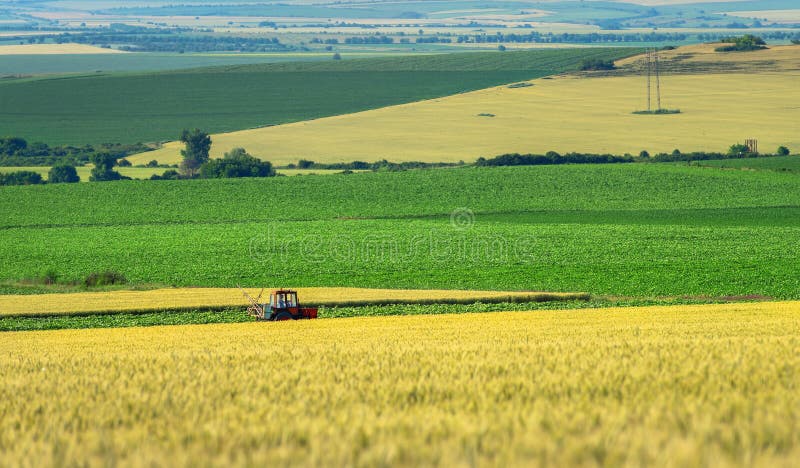 Инсектицид к зеленому полю, agricult сельско-хозяйственной техники распыляя стоковые изображения rf